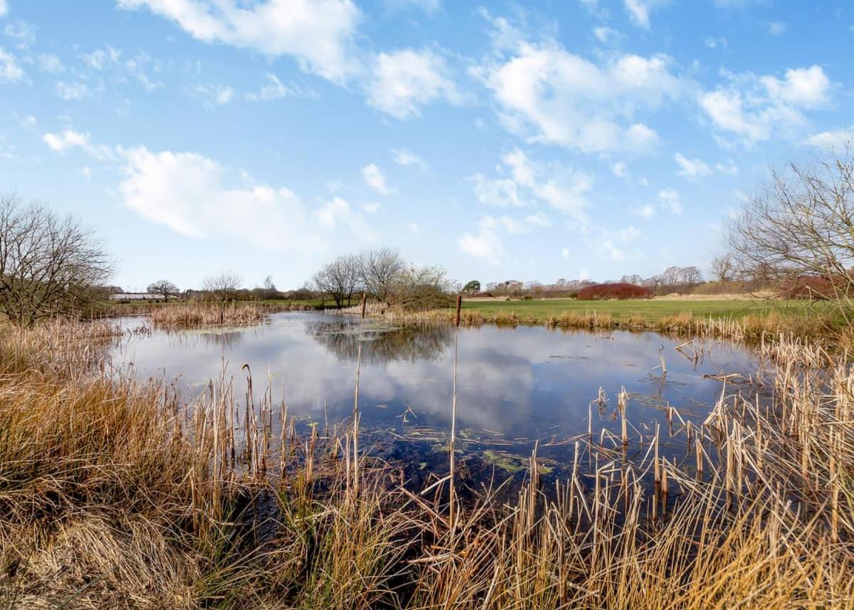 Eden Lodge Retreat Crosby  Luaran gambar